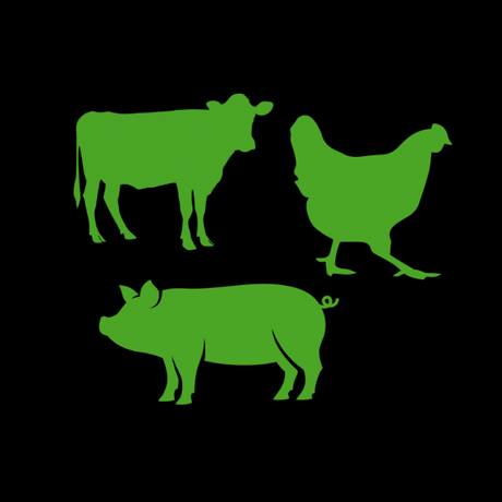 MISTI - POLLO, MANZO, SUINO